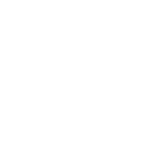 Leaf icon