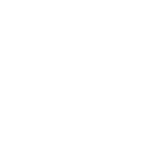 leaf icon