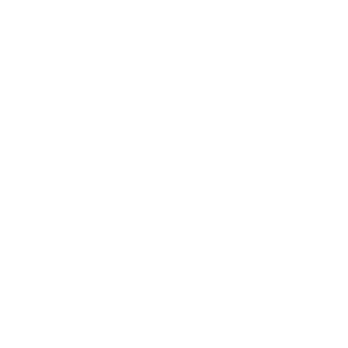American flag icon
